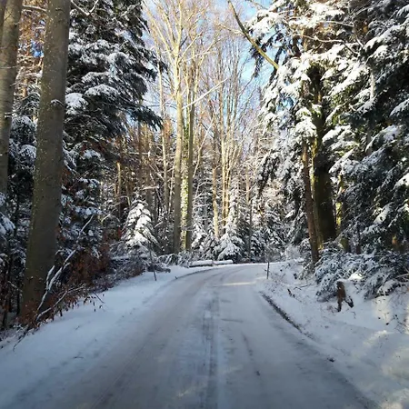 Wilhelm Martin Farm stay